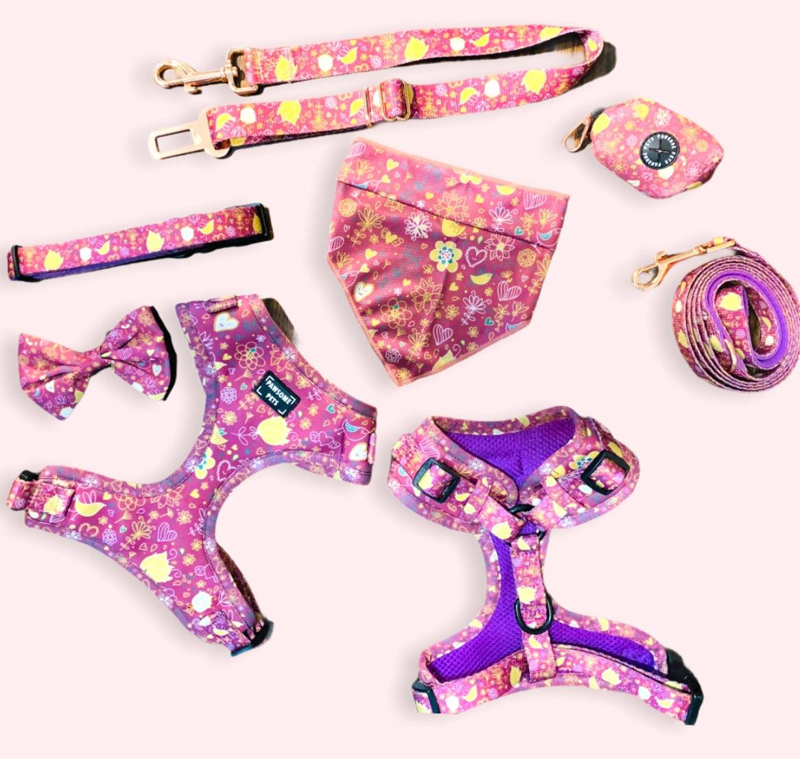 Dog Leash Collection
